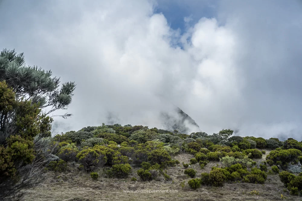 ile de la Réunion, photographie de Jérôme Paressant